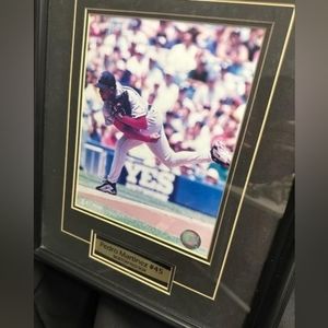 Framed Pedro Martinez collectors picture